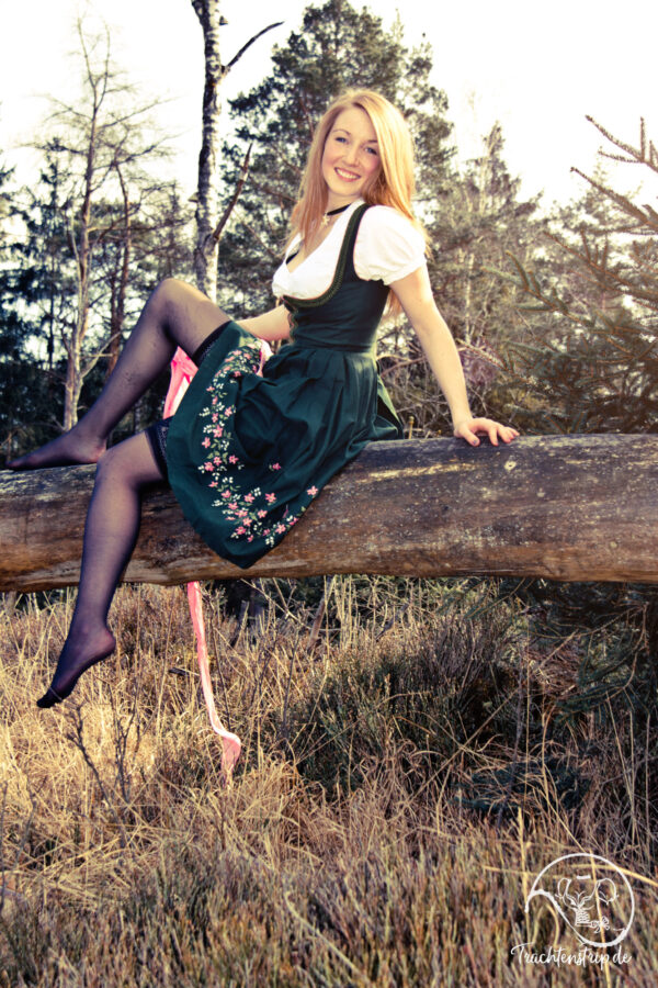 Sexy Girl in Stockings and with bavarian custom dirndl dress