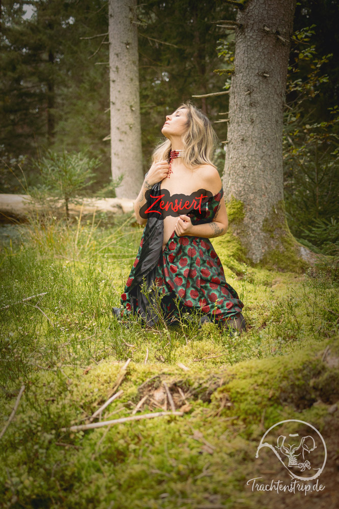 Dirndl Twilight 3 Dirndl Twilight – Bild 3