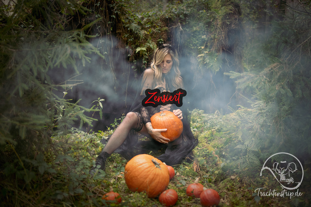 Dirndl Twilight 2 Dirndl Twilight – Bild 2